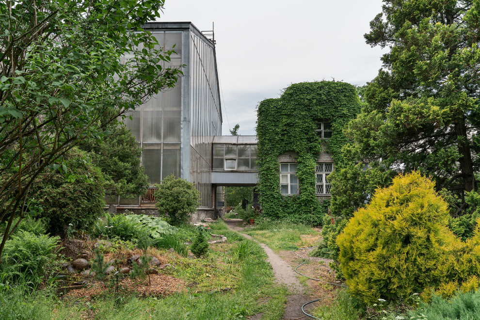 Ботанический сад в сердце Петербурга