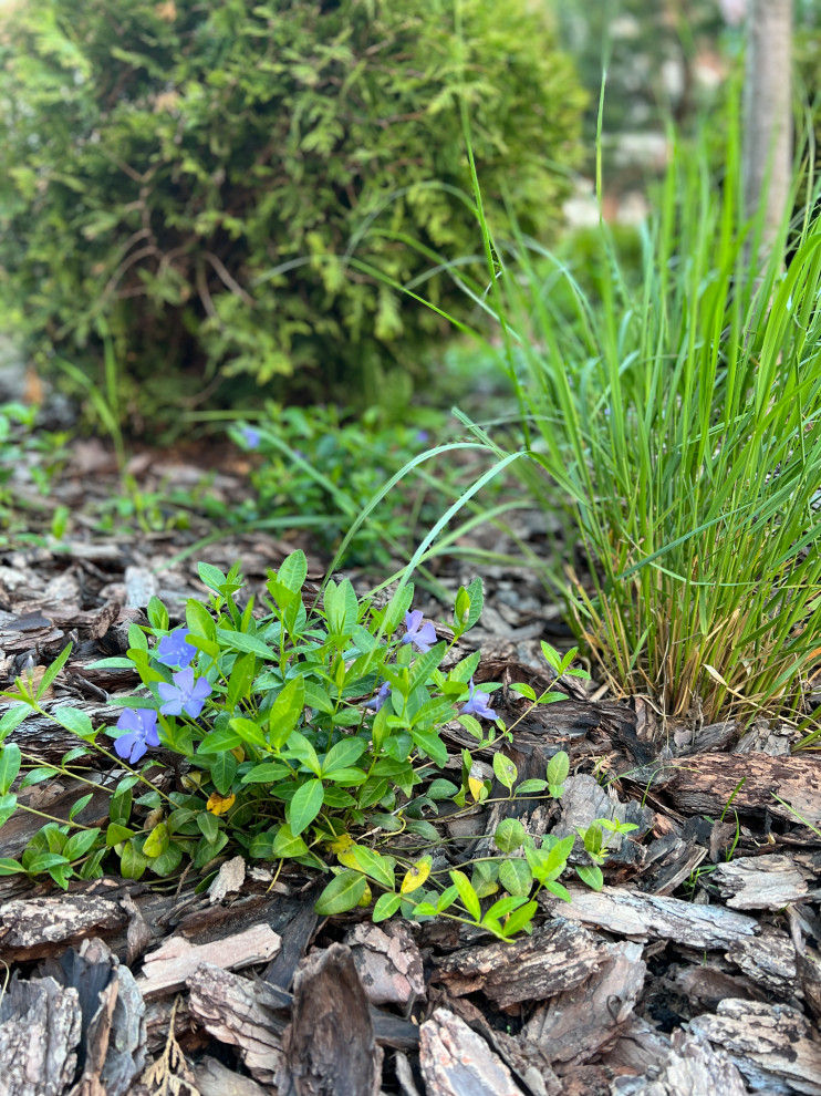 Мини-сад у таунхауса