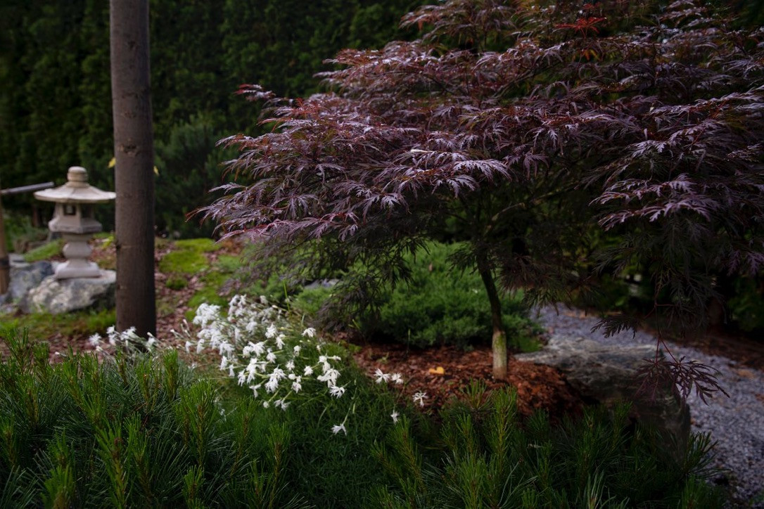 Элемент времени