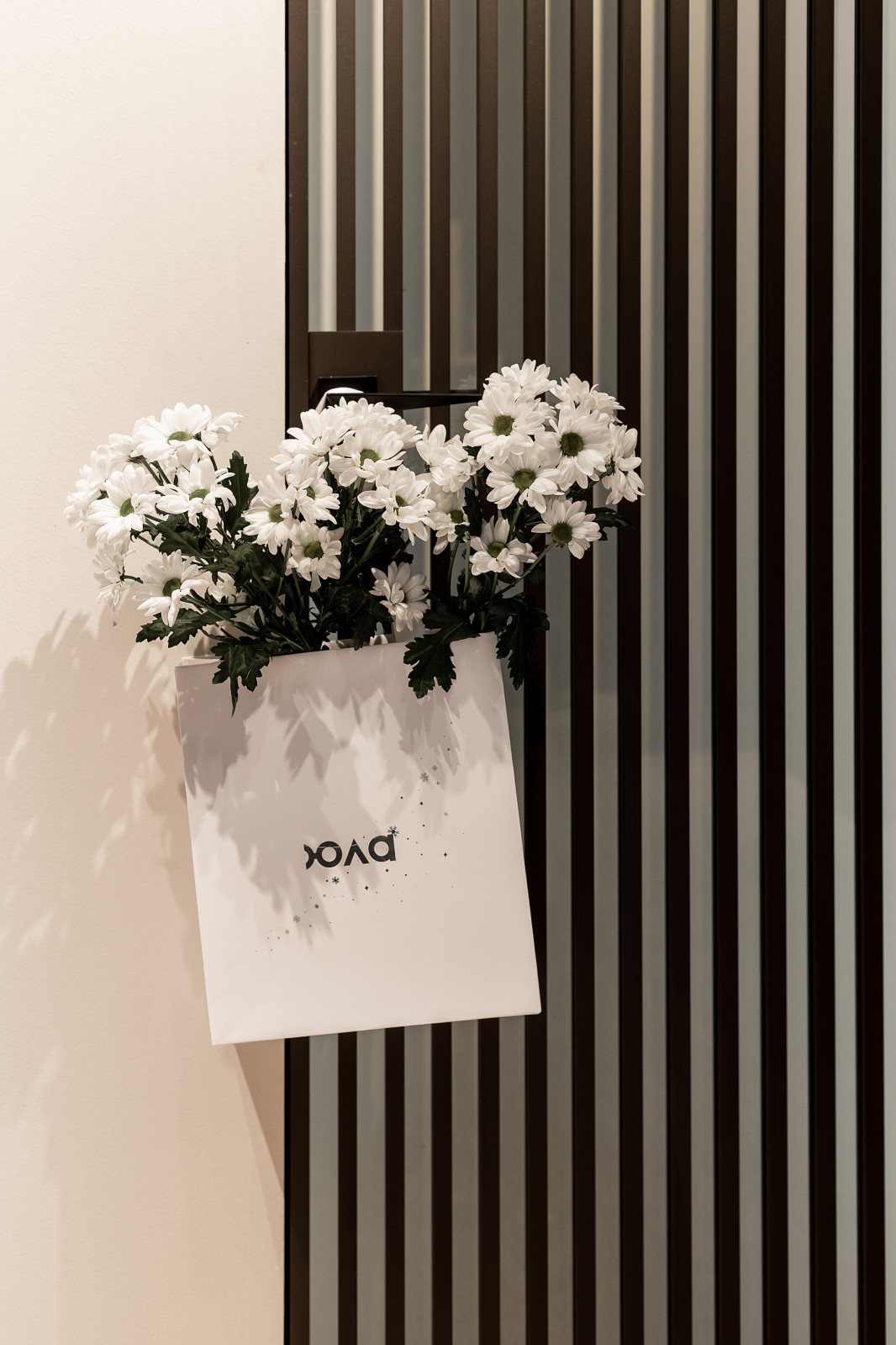 Обложка проекта: наш офис