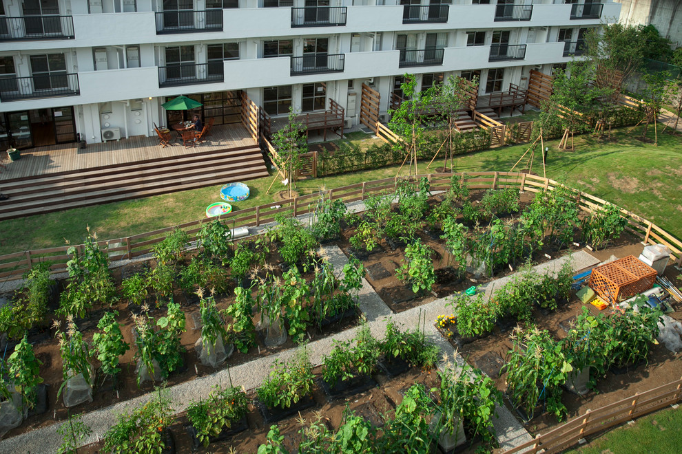 Мир дизайна: 10 огородников-любителей показывают урожай со своих грядок