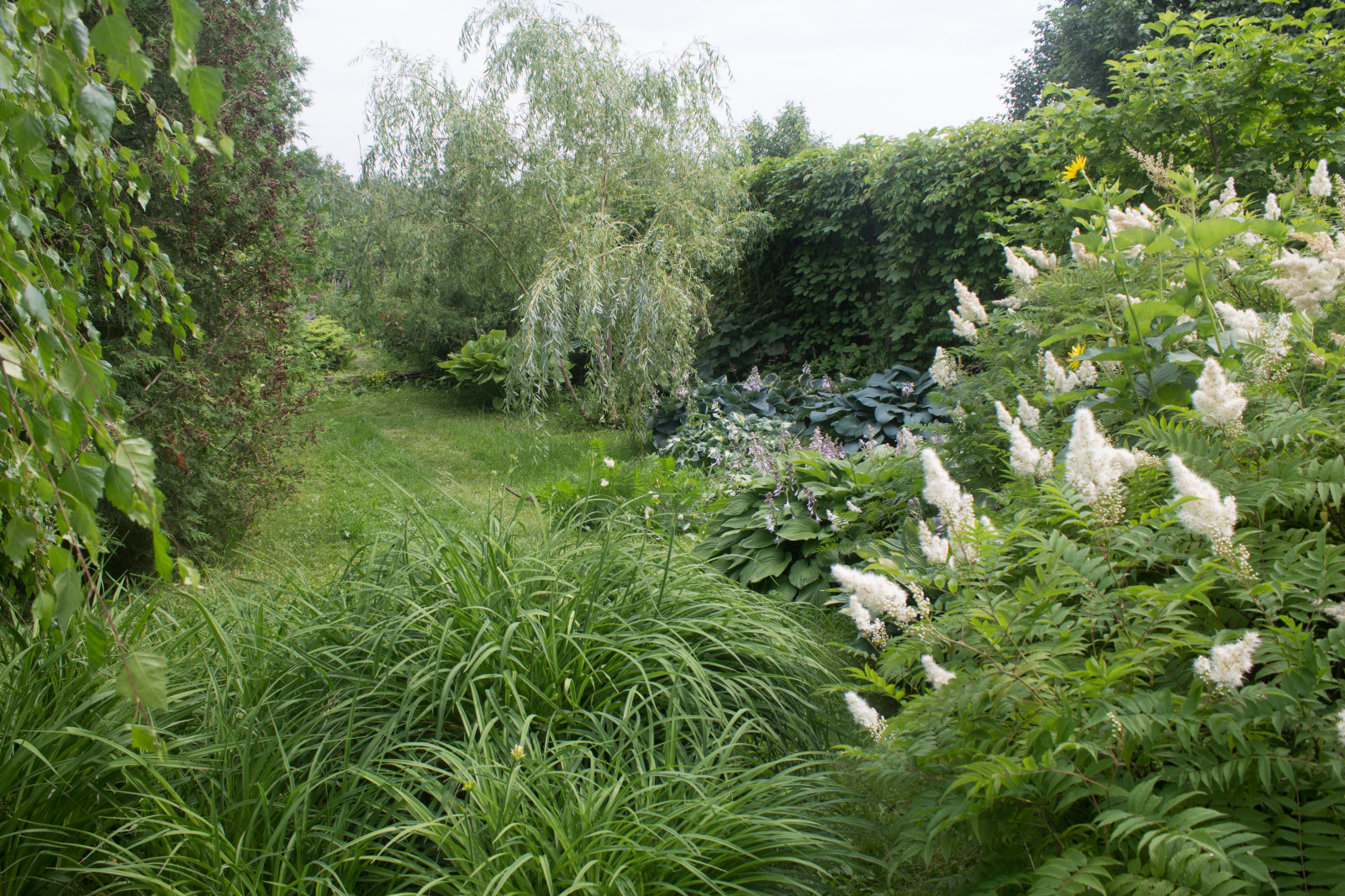 Обложка проекта: Сад «Моя цветущая планета».