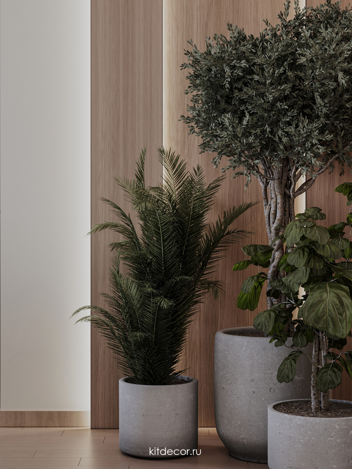 Ванильный Дуб