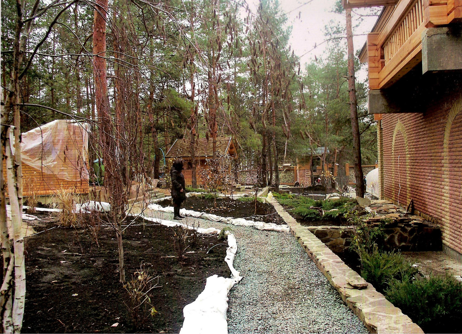 Обложка проекта: Благоустройство лесного участка 2013