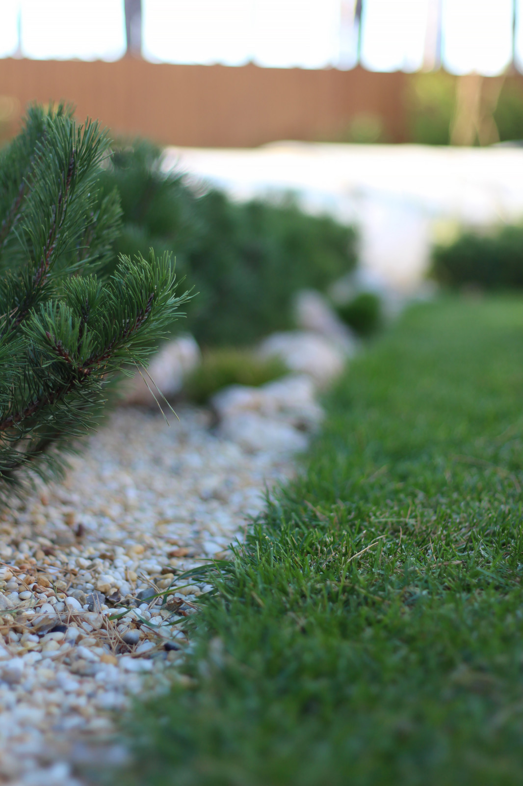 Обложка проекта: "Окна"