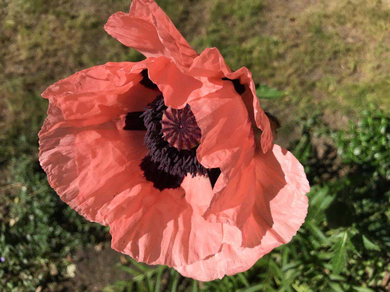 Частный парк Московская область