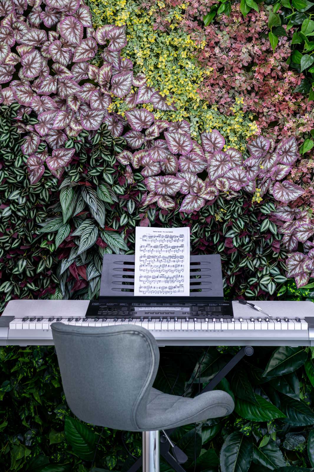 Обложка проекта: Интерьерная съемка