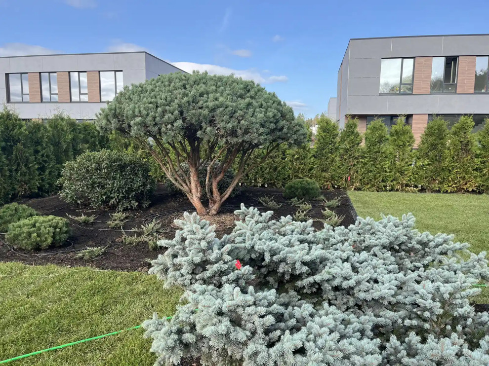 «СТРОГО ПО ПРЯМОЙ»