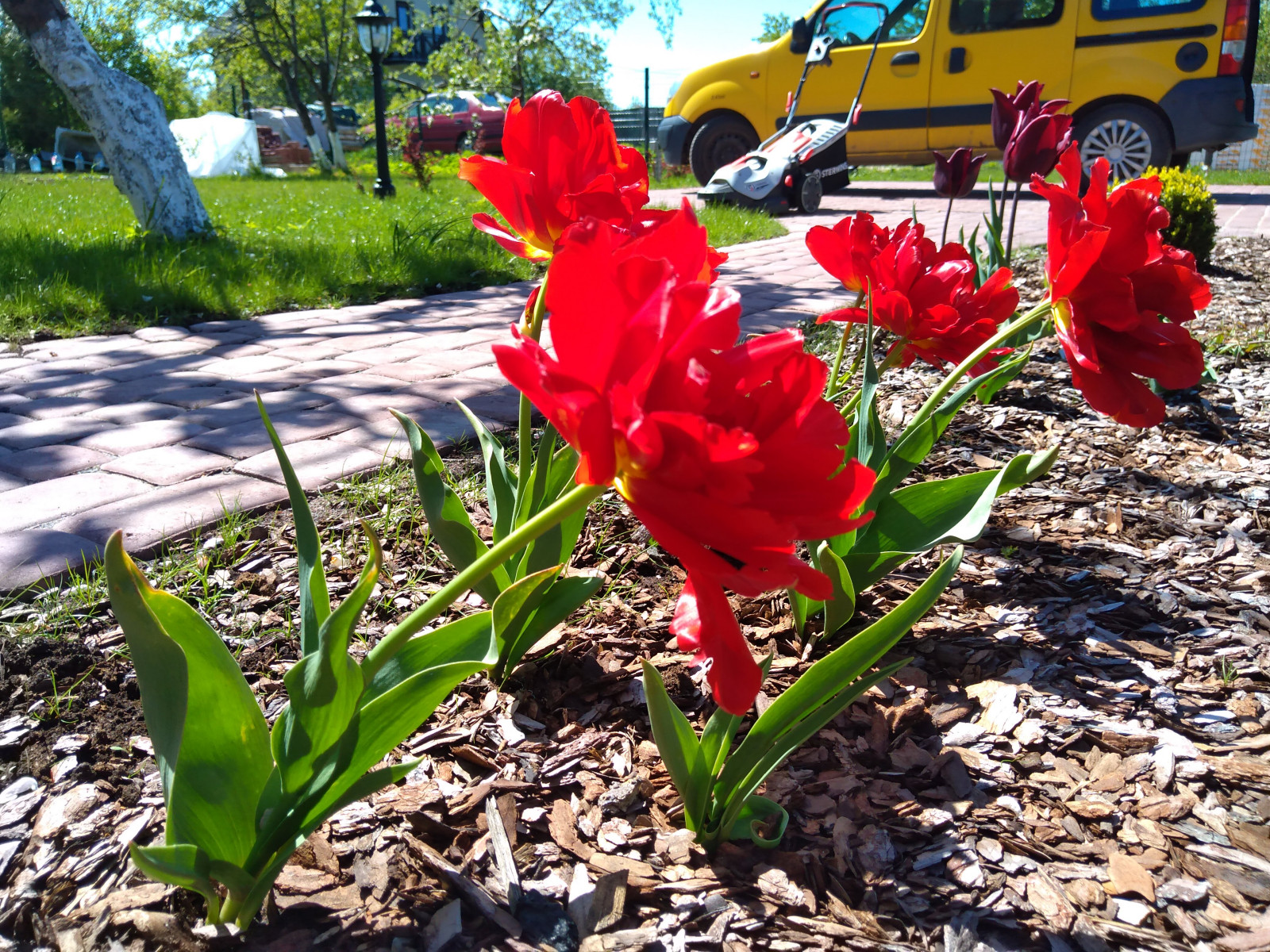 г. Пионерский, Калининградская область