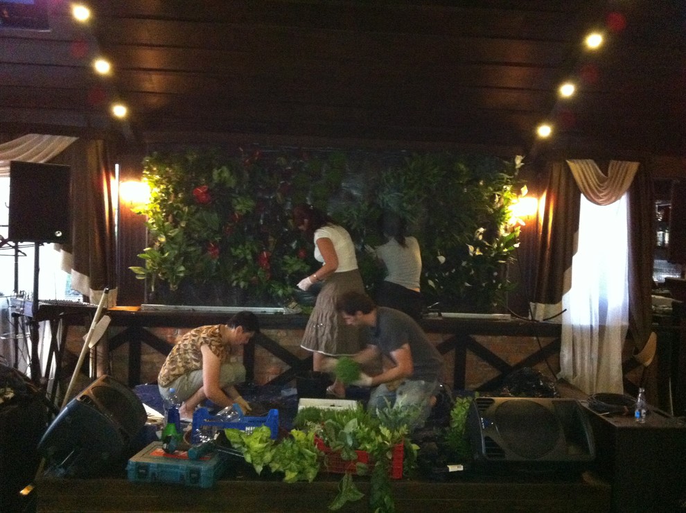 Вертикальные сады