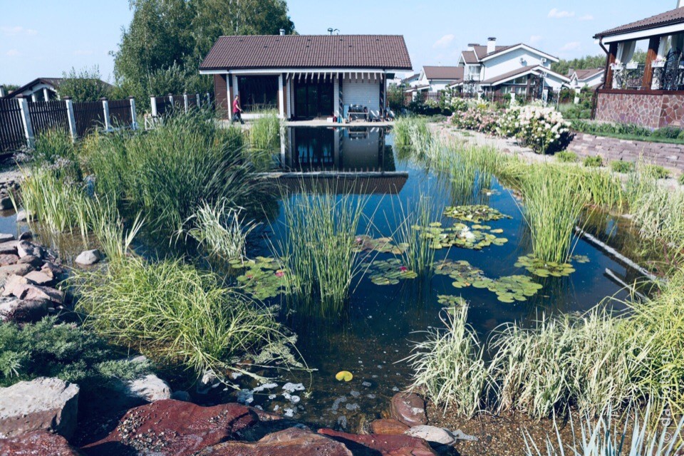 "реконструкция водоема"