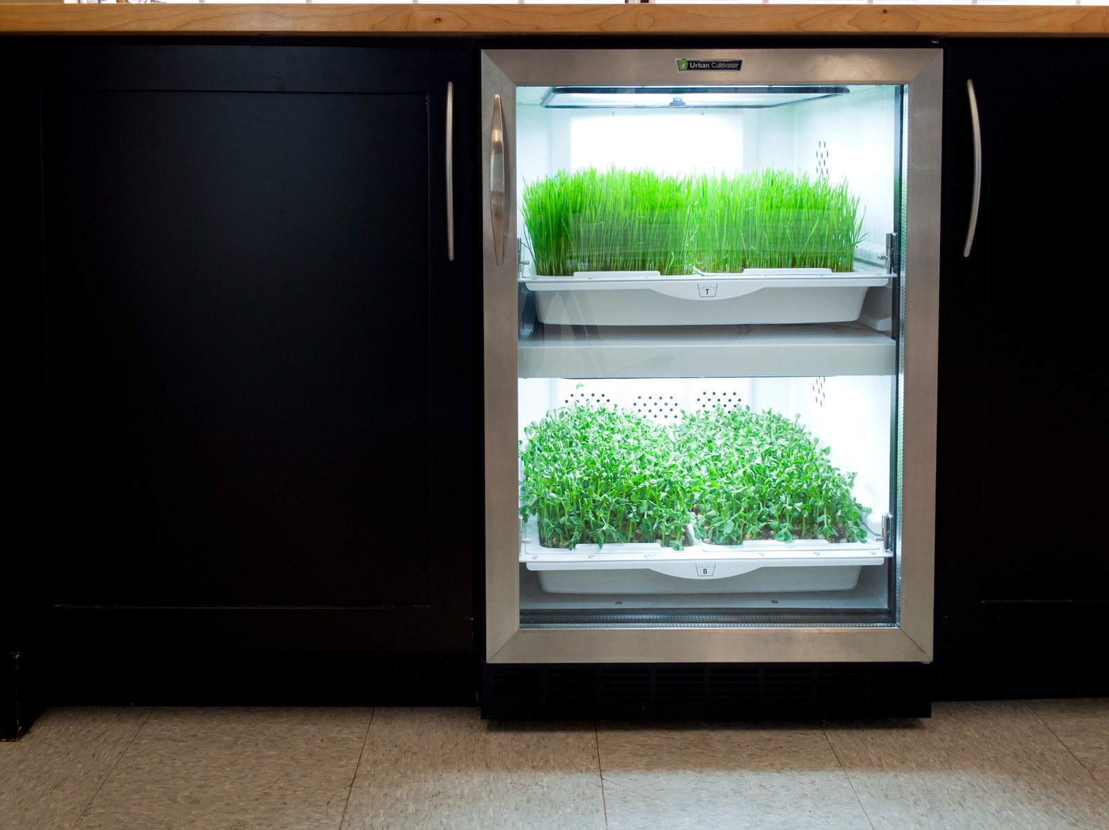 Urban Cultivator в интерьерах