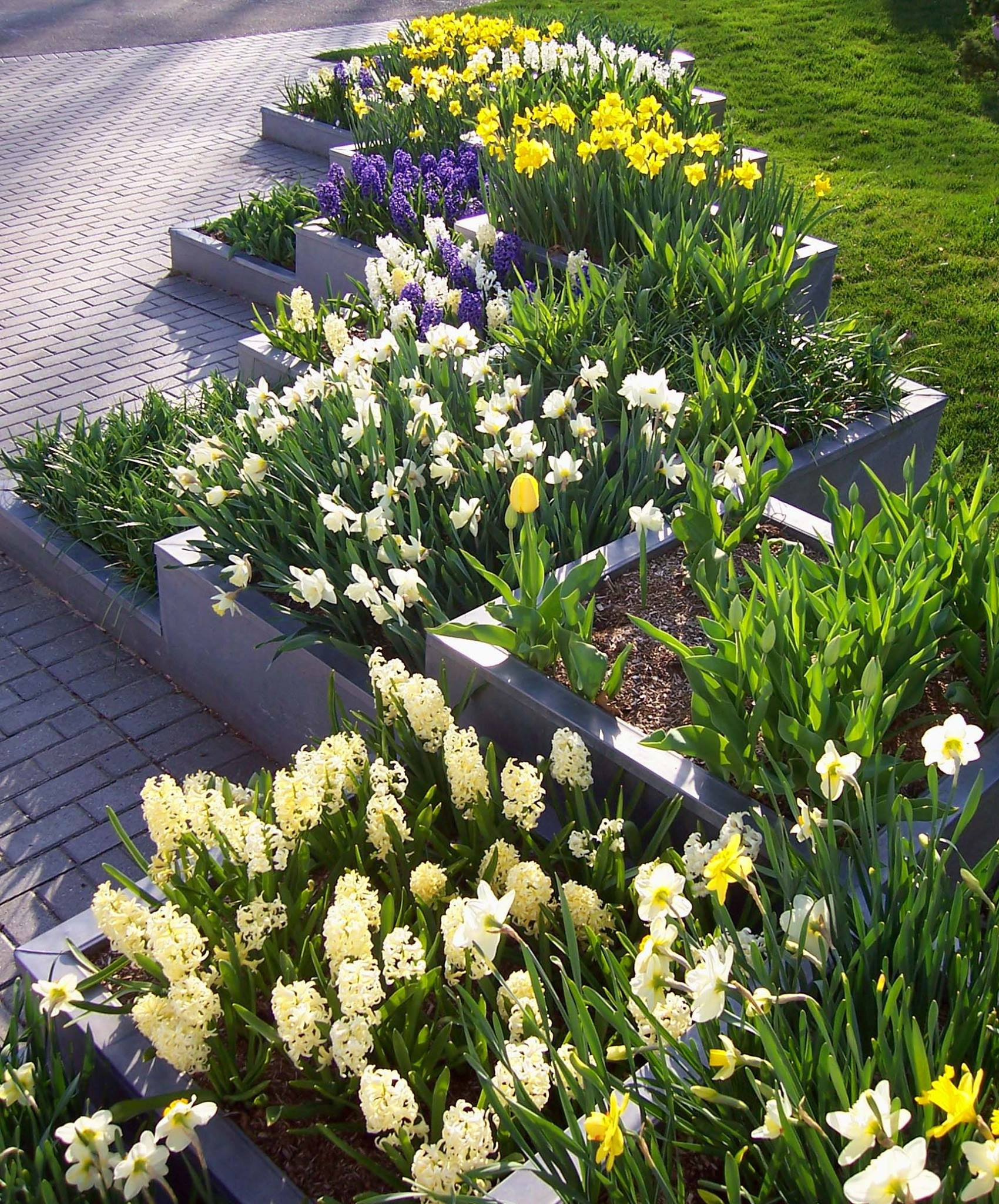 Как правильно: Создать клумбу непрерывного цветения