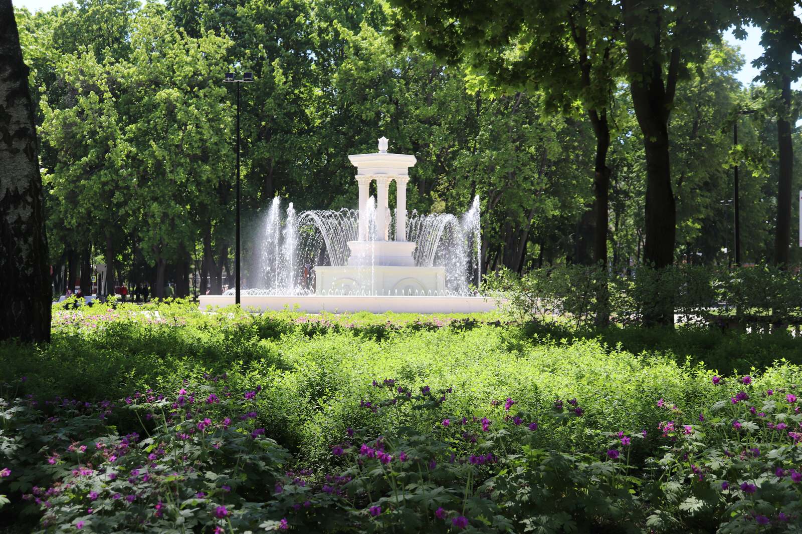 Обложка проекта: Парк Орленок