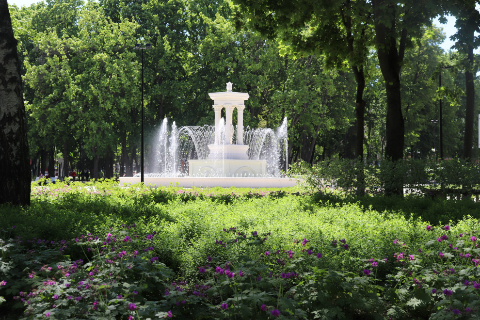 Обложка проекта: Парк Орленок