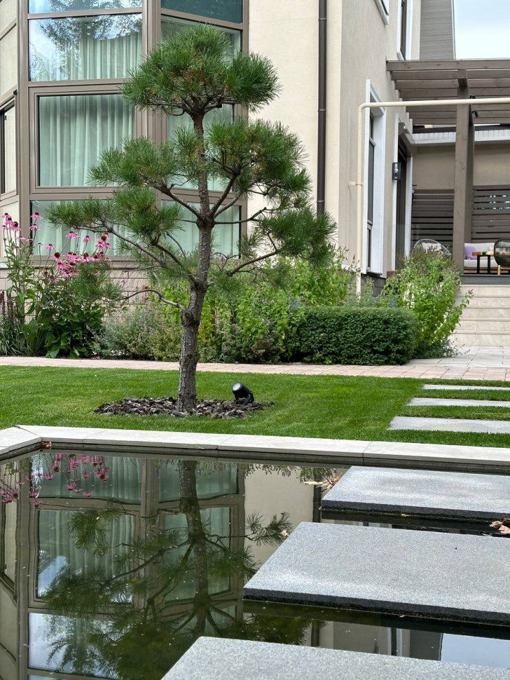 Водоем:Чистые линии