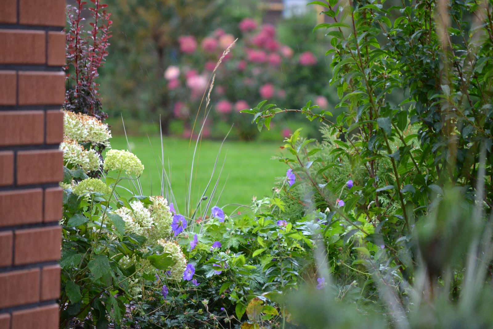 ОЗЕЛЕНЕНИЕ