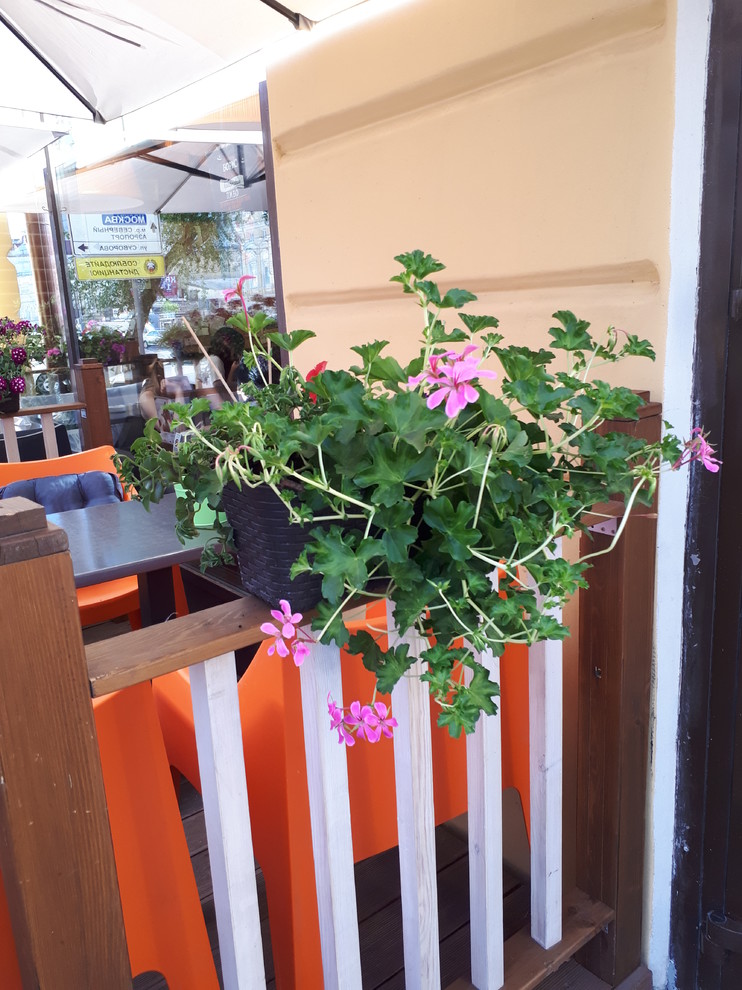 Контейнерное озеленение