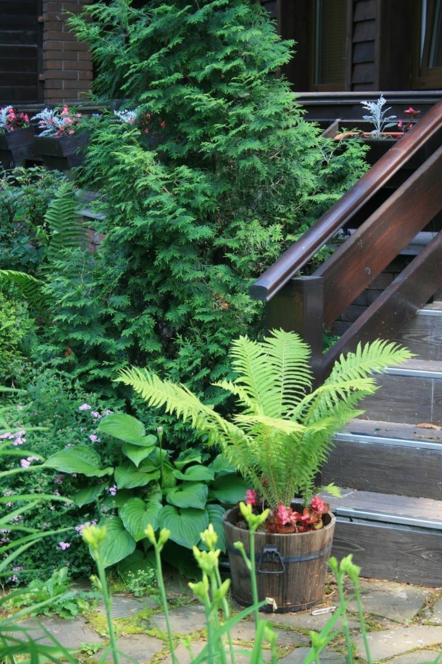 Ландшафтный дизайн