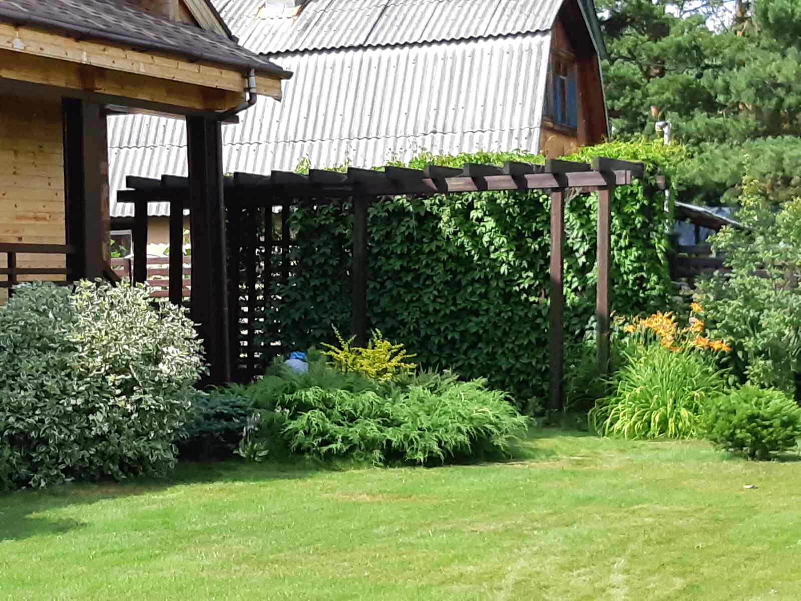 Медведково