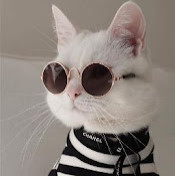 Влада Фролова