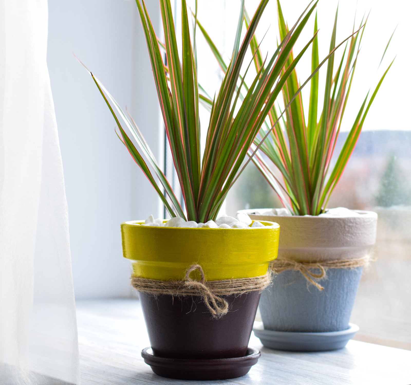 Обложка статьи: DIY: Как украсить цветочный горшок своими руками