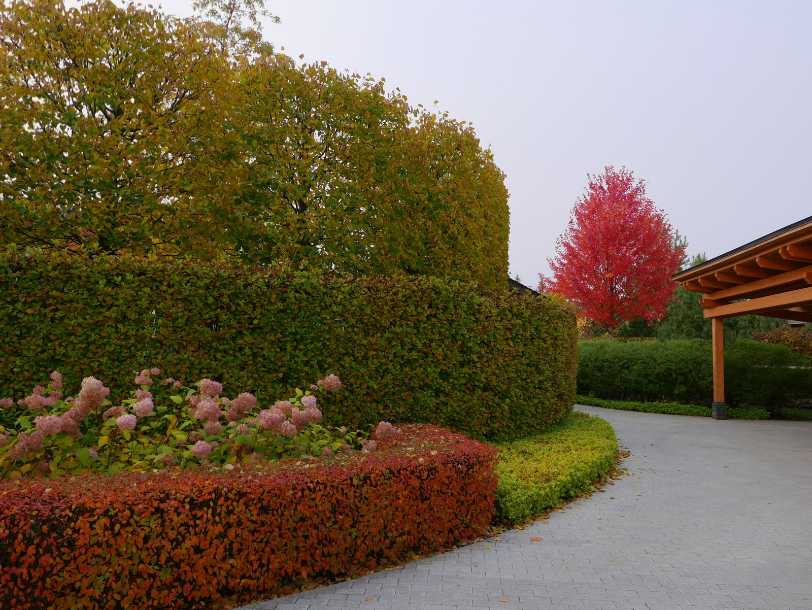 Современный взгляд на классику