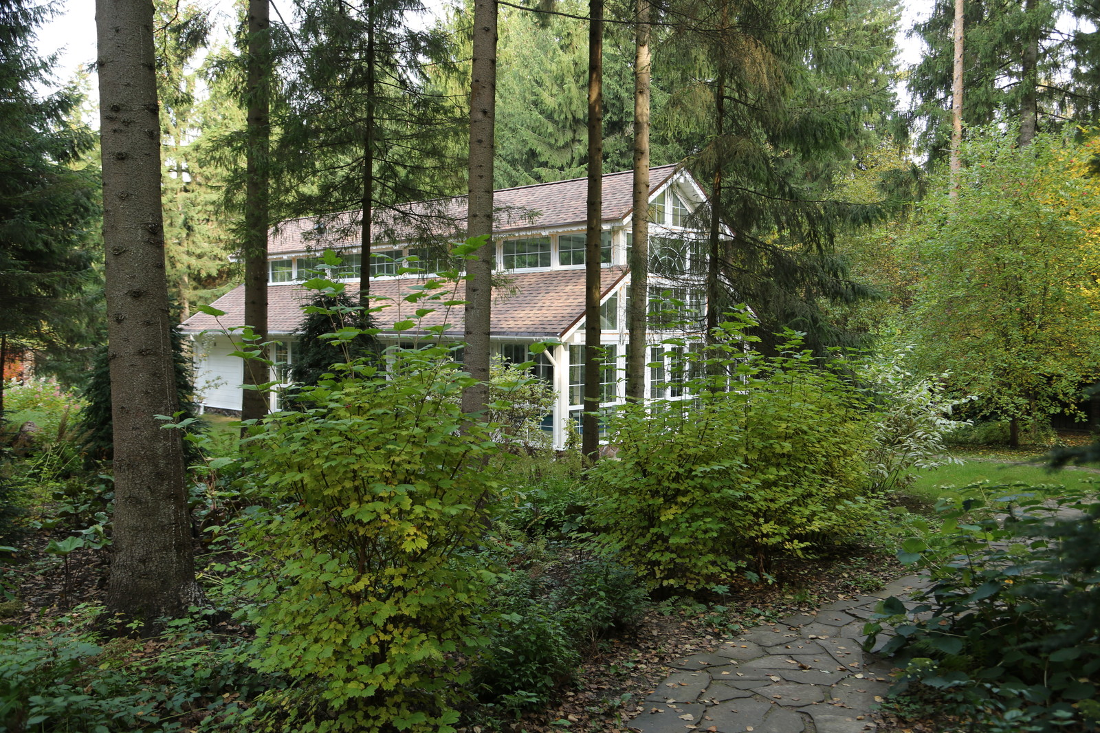 Обложка проекта: Кленово