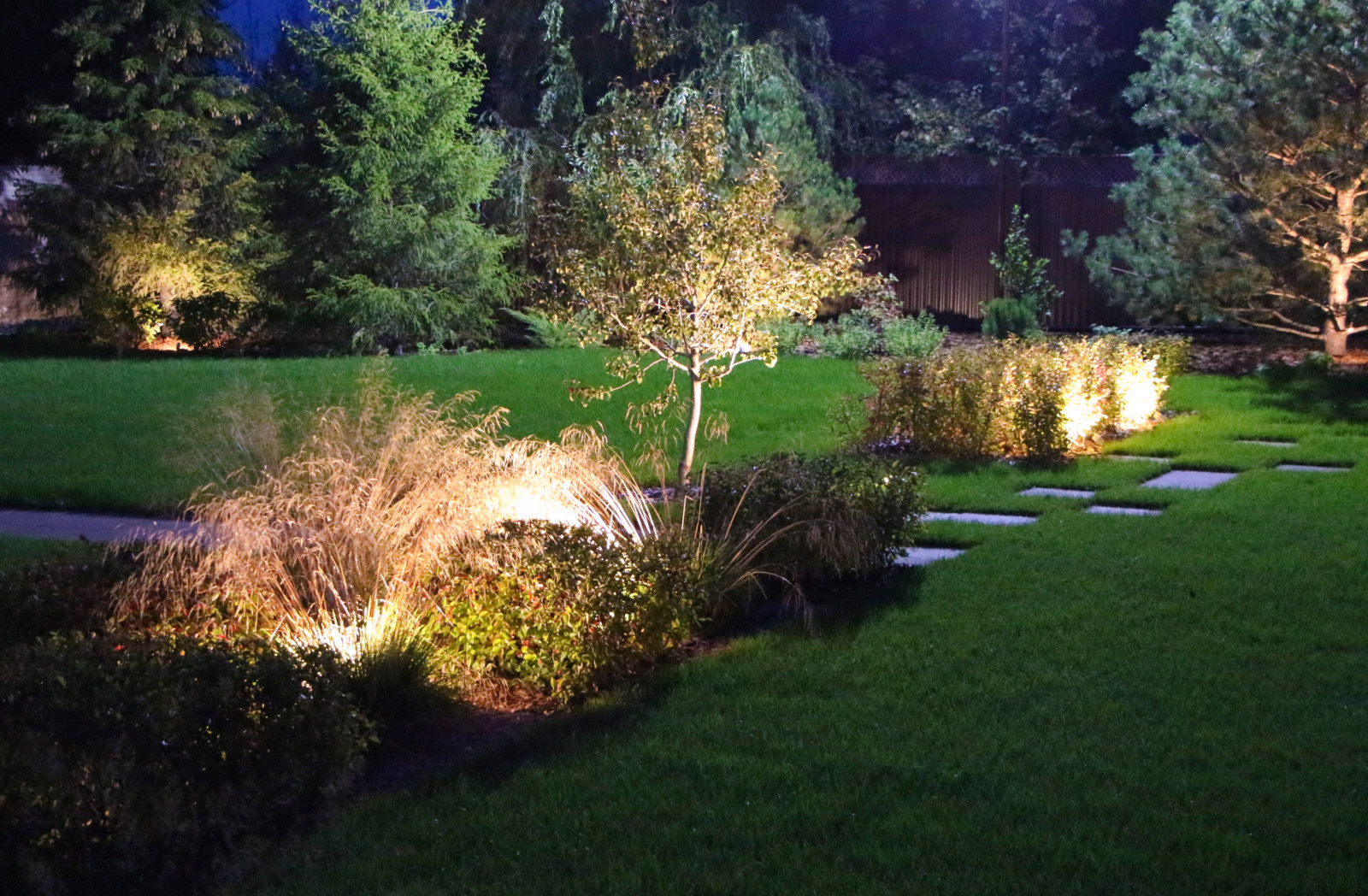 Обложка проекта: Петровское, ночной сад, 2018-2020 гг.