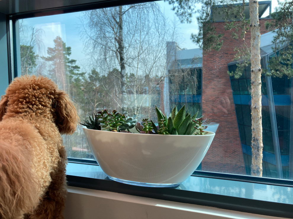 ЖК Русский Авангард