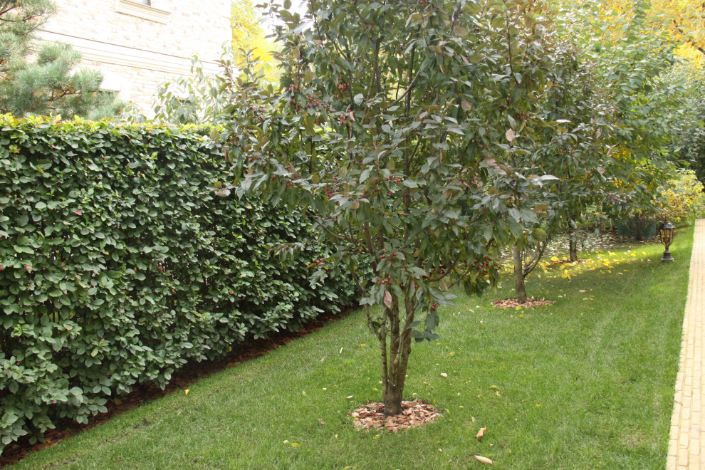 "Fairy Garden.Сад под дубами"