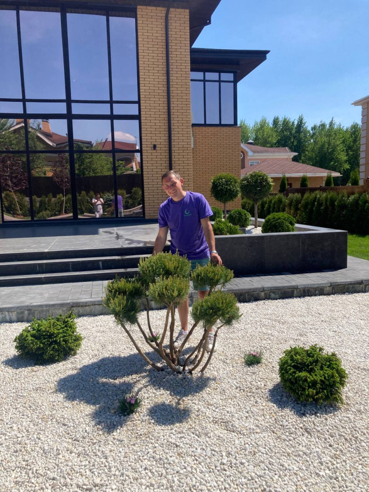 Минимализм