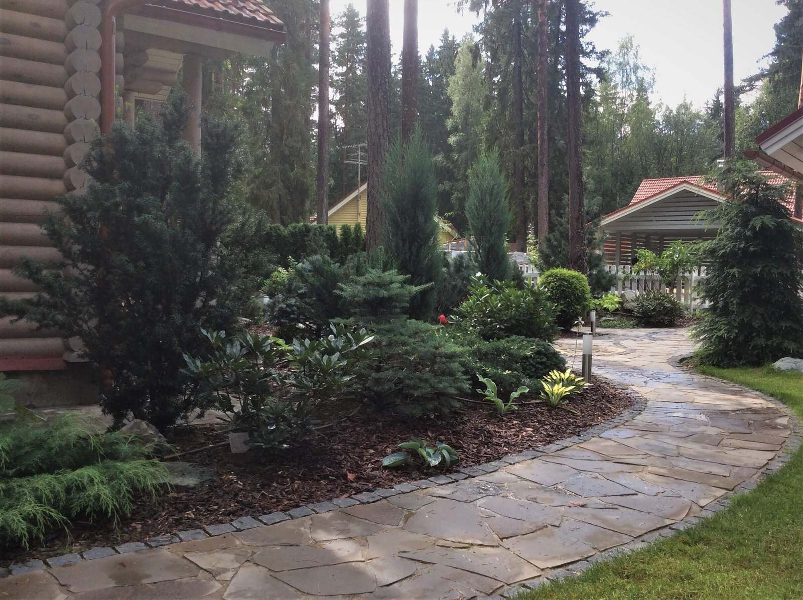 ШЕРВУДСКИЙ ЛЕС