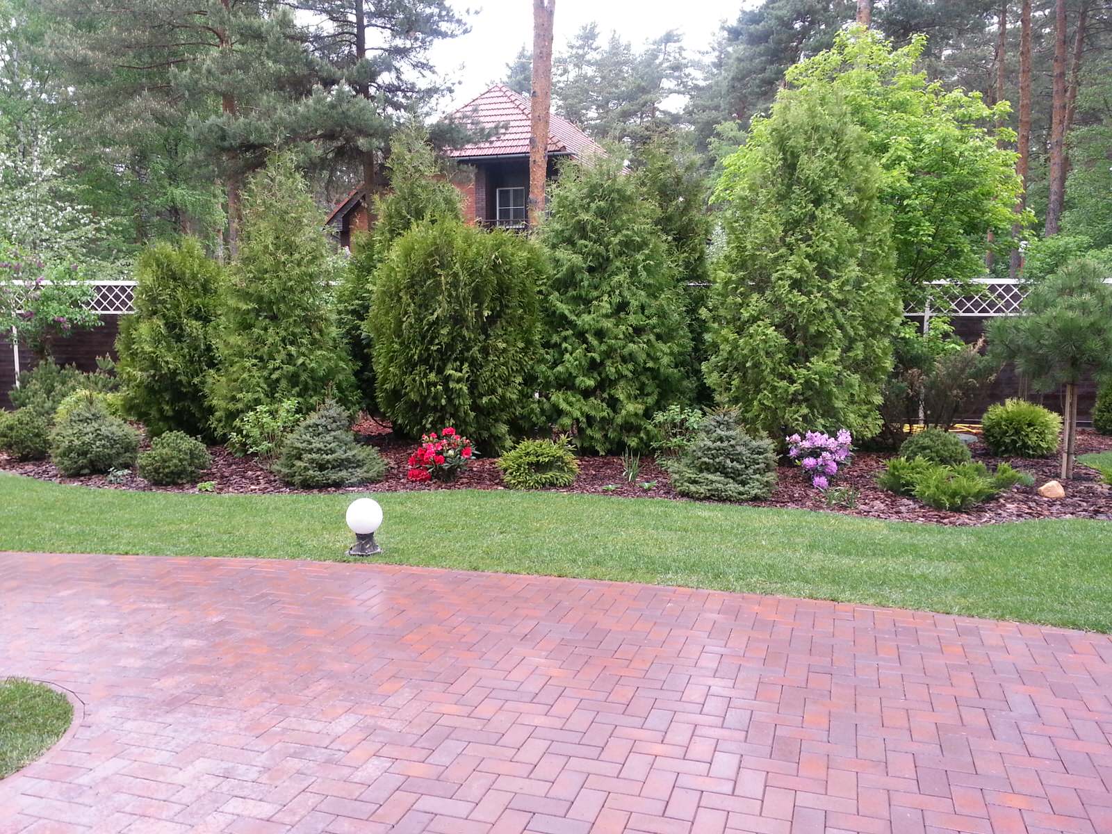 Клинкерная площадка и композиция из туи