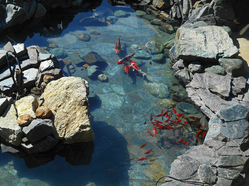 Реконструкция искусственного водоёма в Сочи