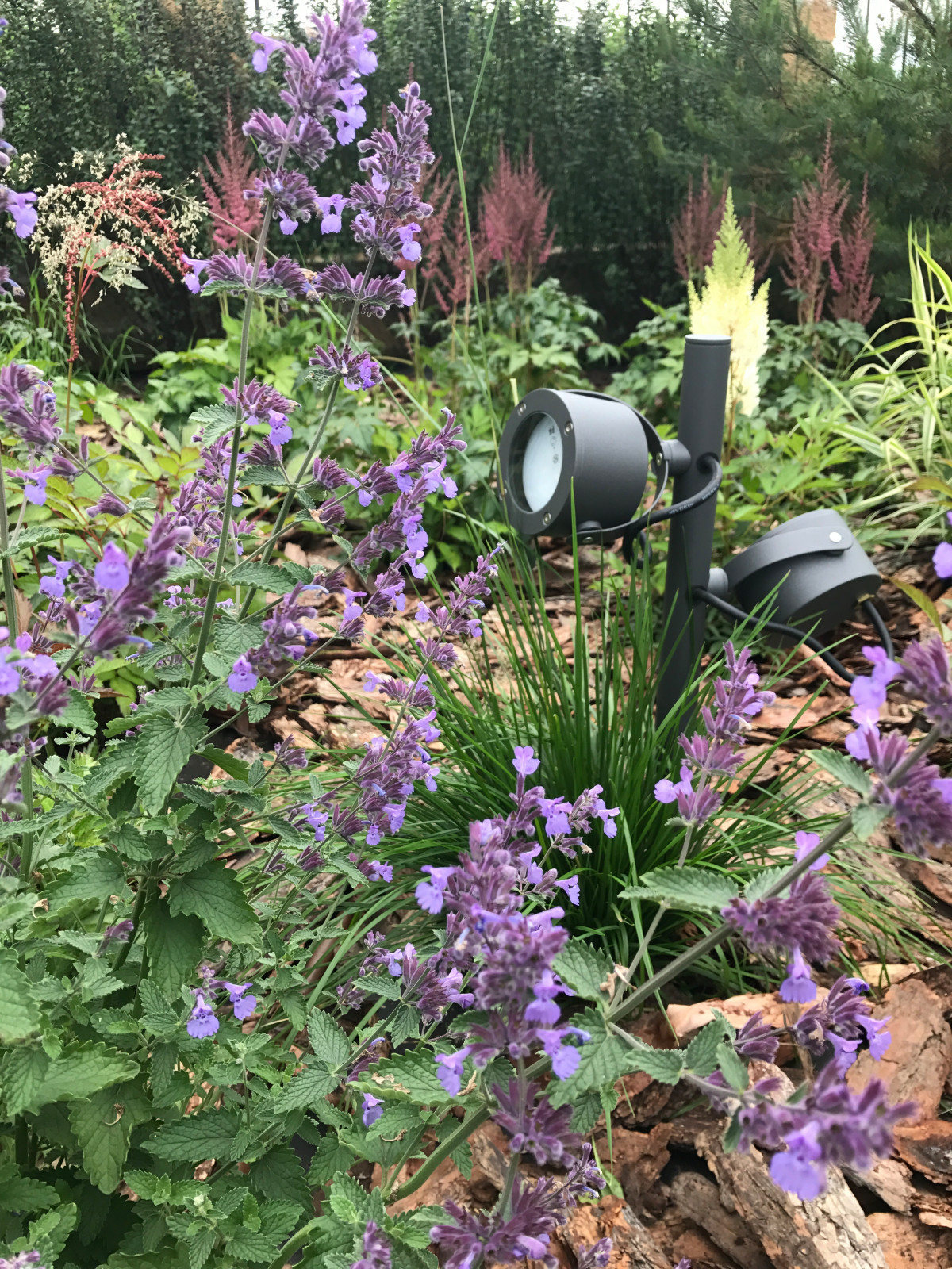 Свежий Ветер, 0.25 га