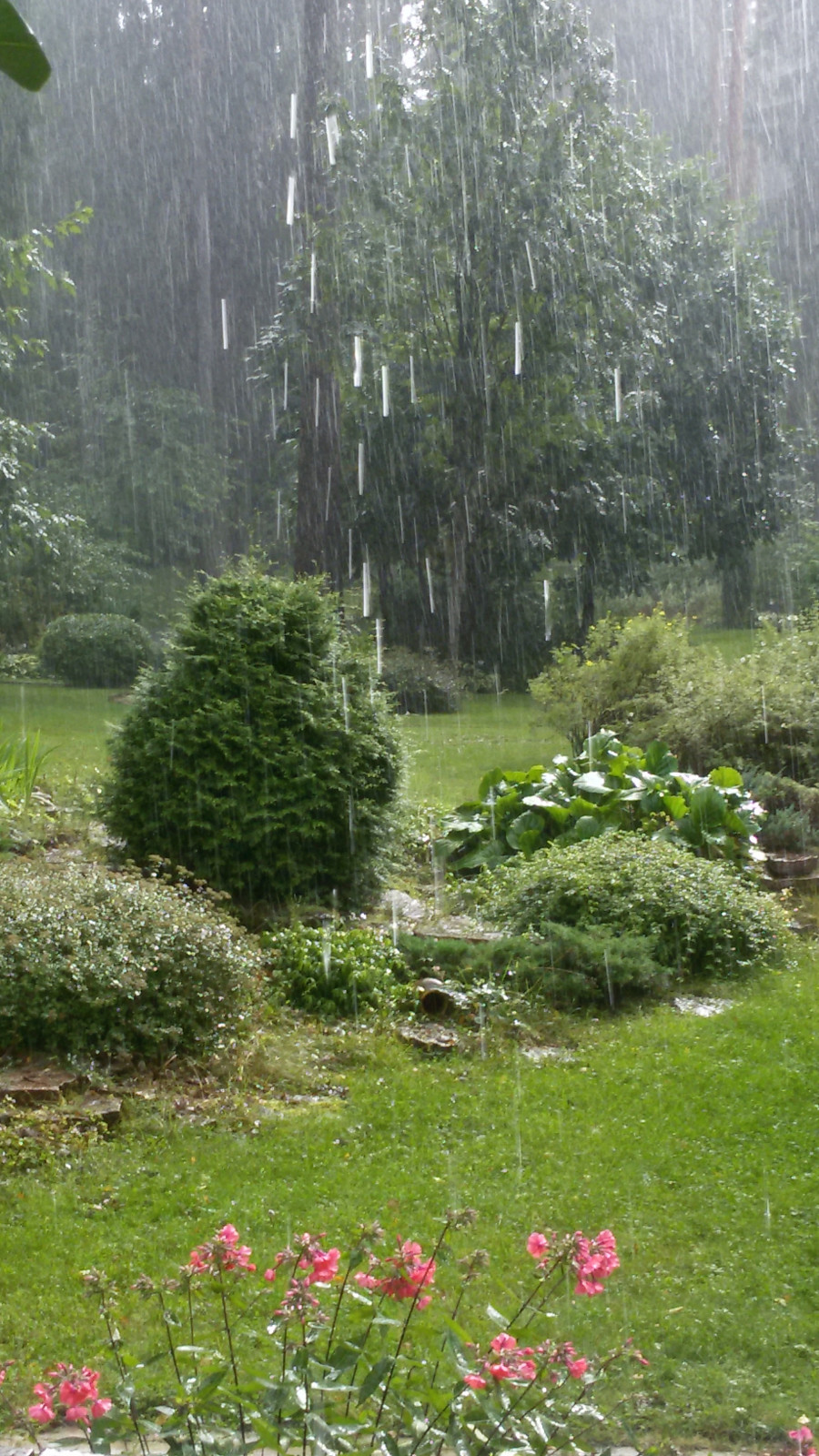 Романтический сад в пейзажном стиле