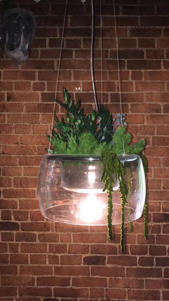 Наталия Анисимова