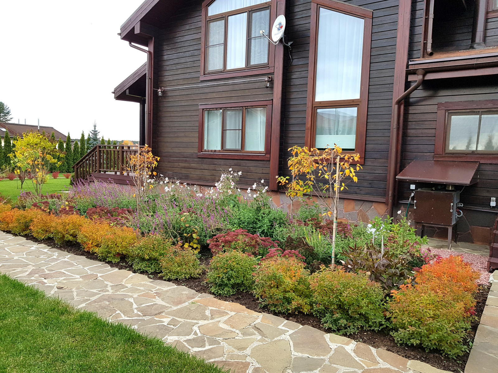 Сосновые берега