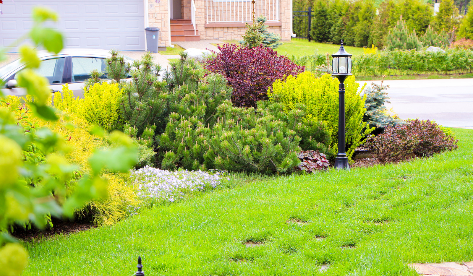 Новые Вешки