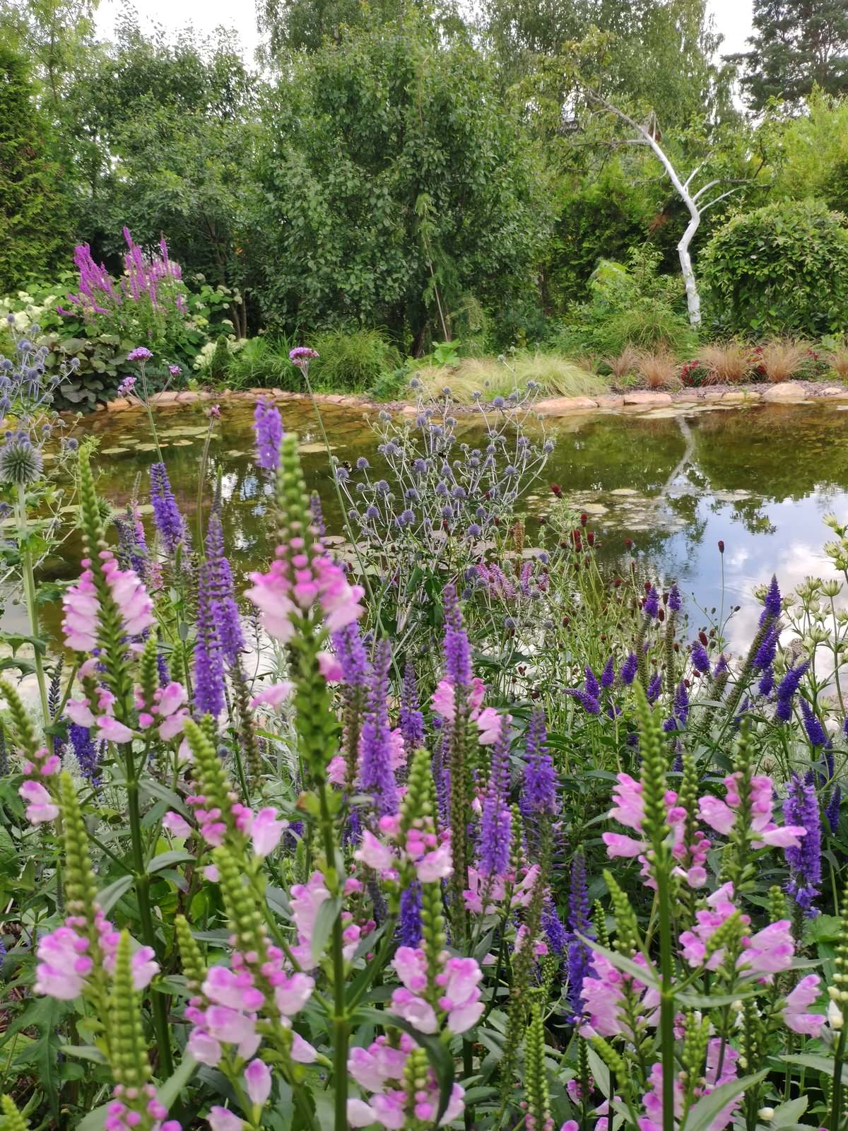 "Экспериментальный" сад любителя растений