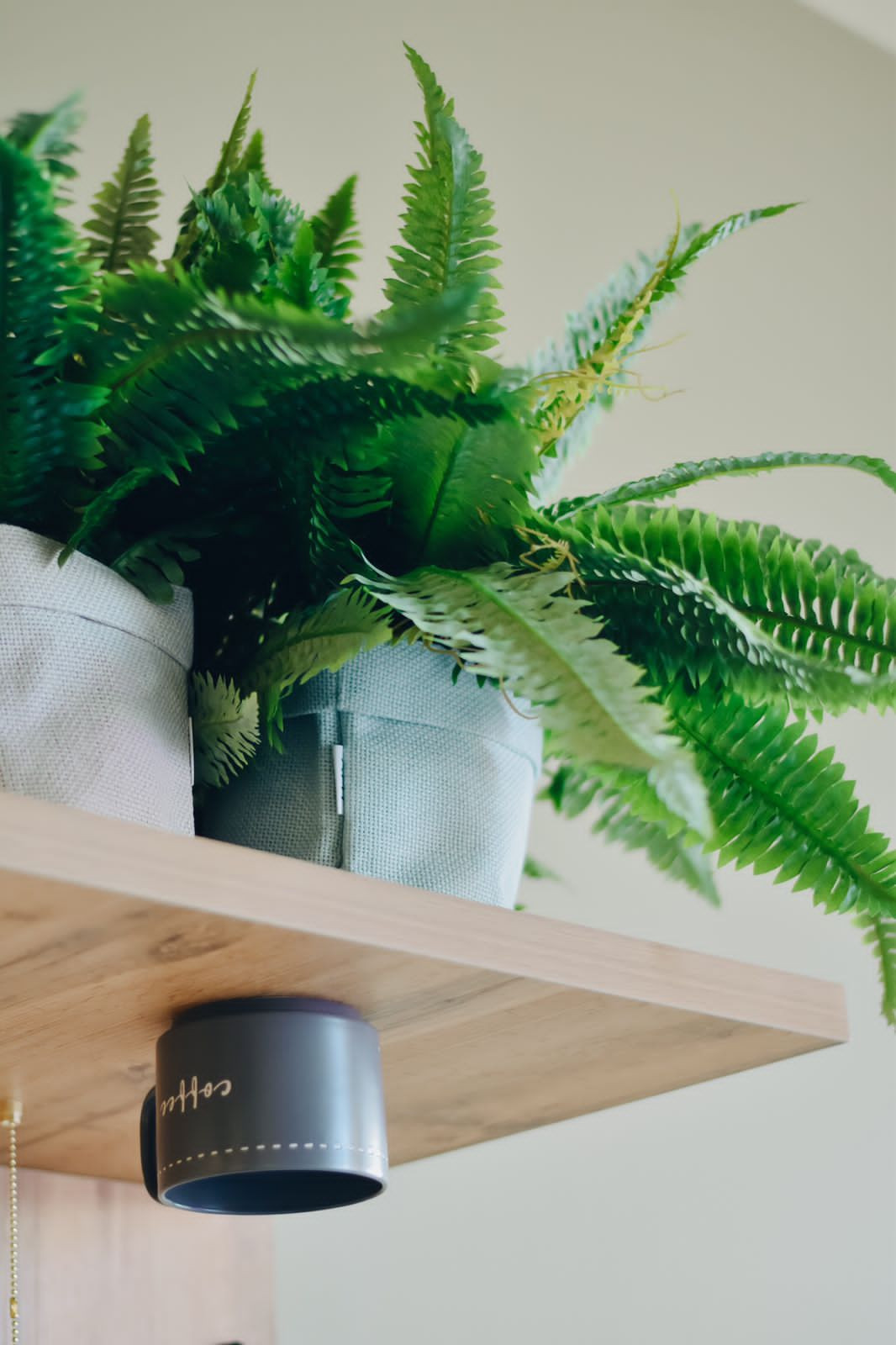 кофейня "История кофе"