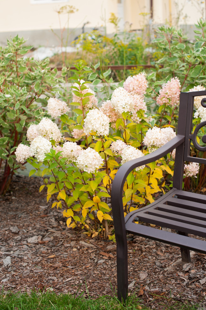 Сад На мажорной ноте