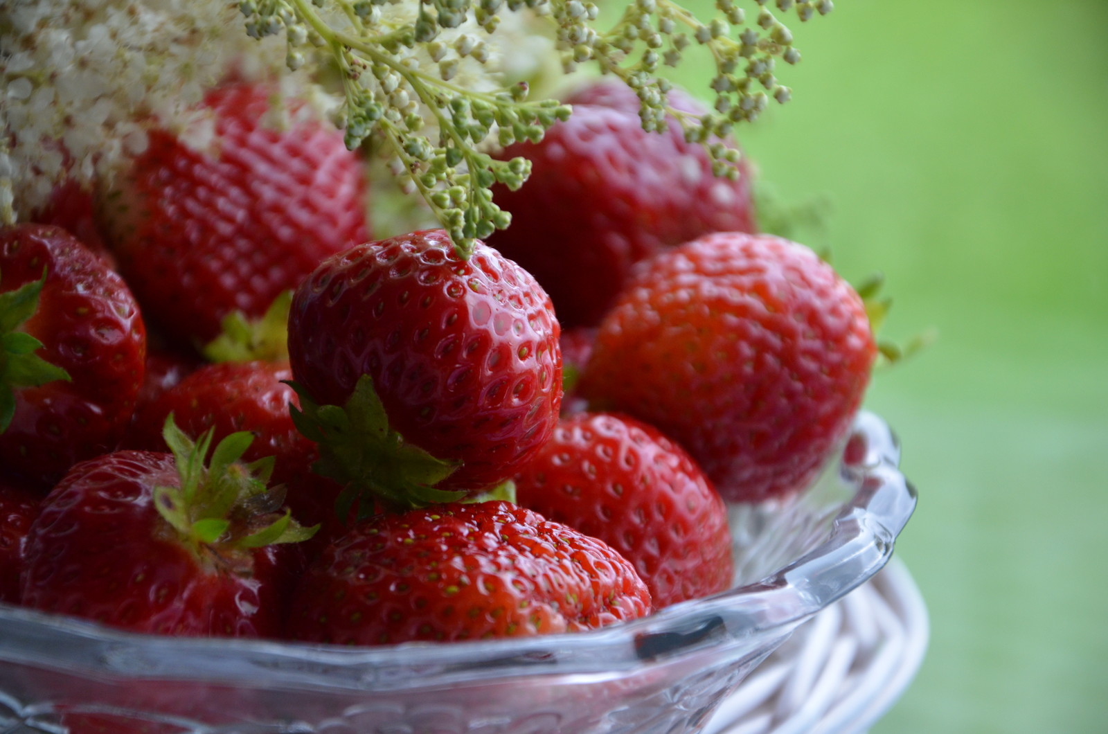 Садовый участок