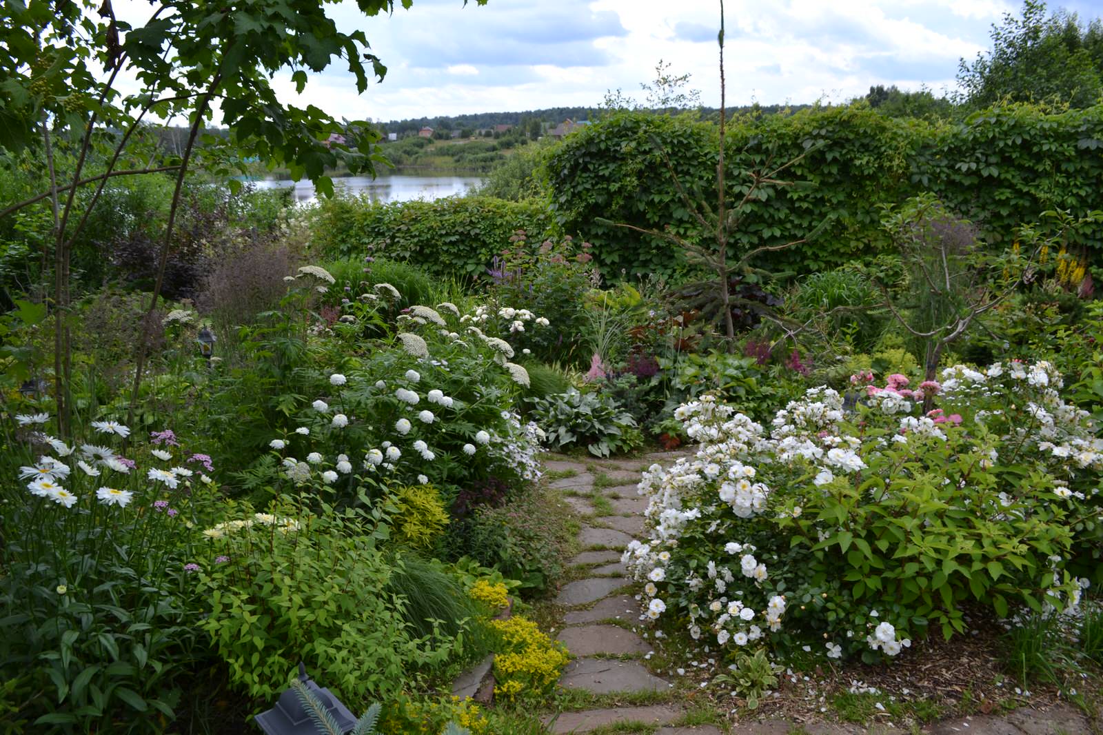 Сад  «Моя цветущая планета».