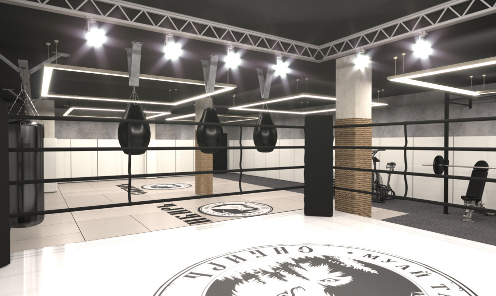 Дизайн проект спортивного клуба "Сибирь"