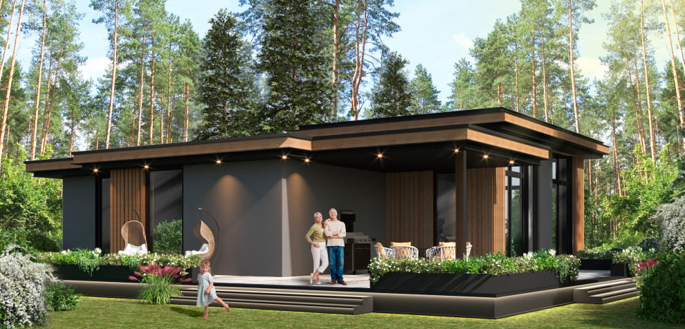 Концепт загородного дома