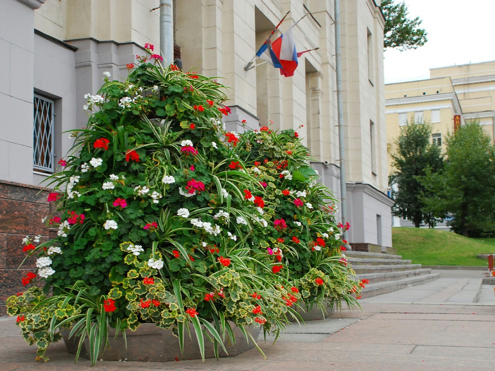 ЦВЕТОЧНЫЕ ПИРАМИДЫ