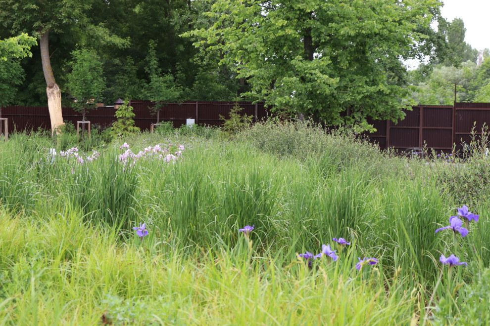 Обложка проекта: WB Берег пруда (май,июнь)