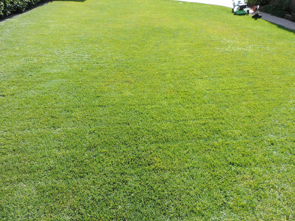 Наши работы